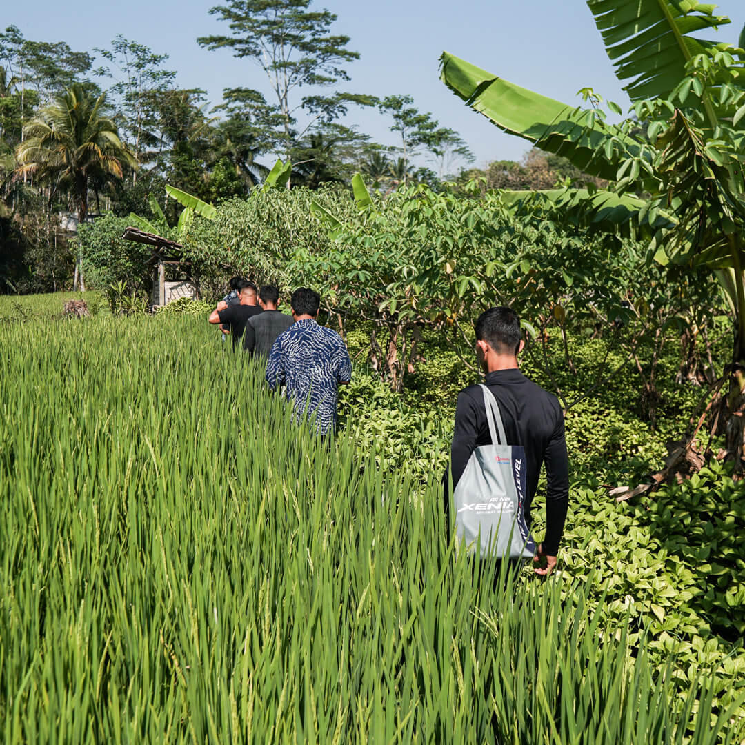 Experience-Working-With-Nature